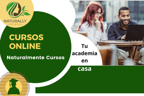 INICIO