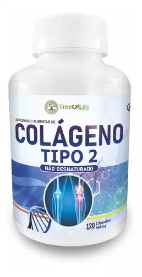 Colágeno Tipo Ii Tipo 2 40mg 120 Cápsulas